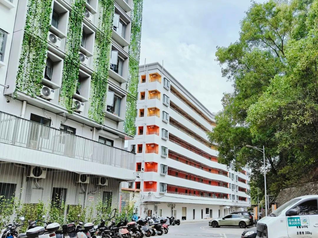 东道建设|点亮城中景里的小确幸--安居乐寓升级改造篇